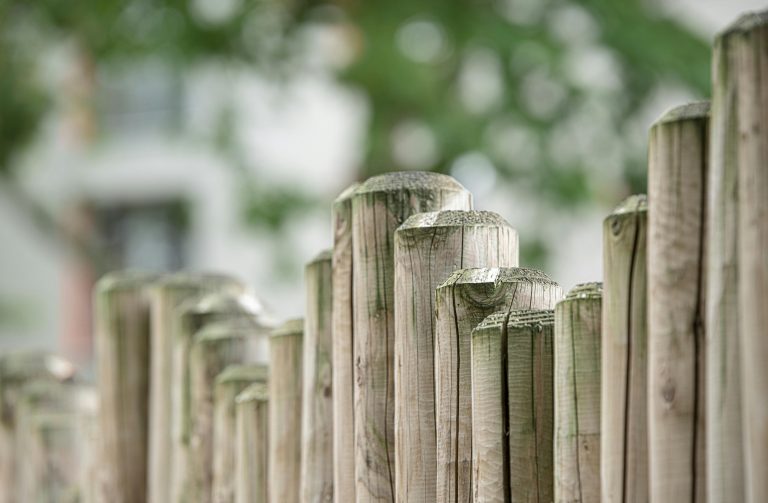 Close-up view of a textured wooden fence against a blurred natural background.