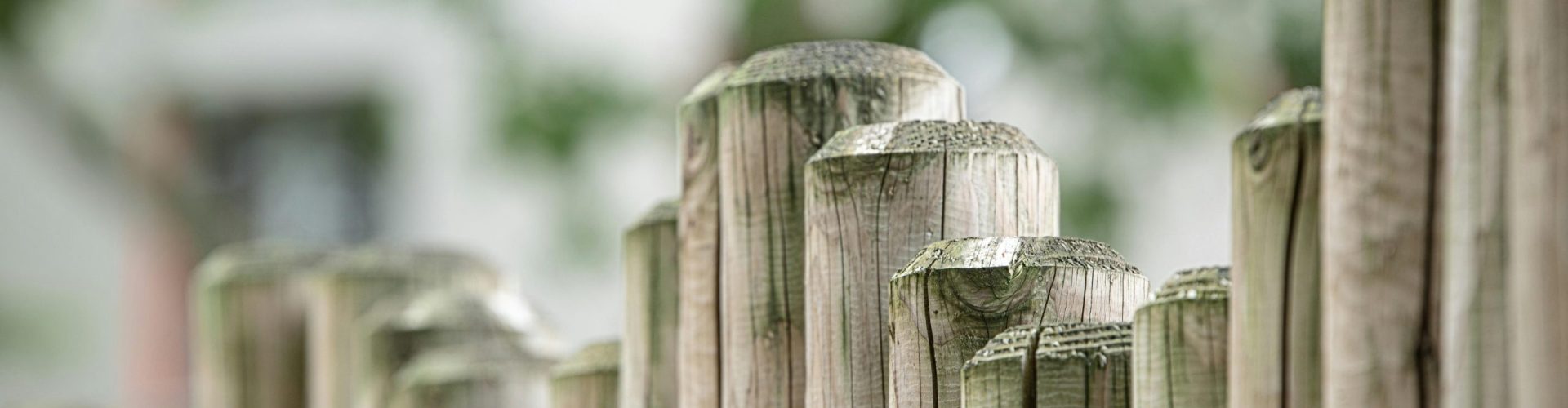 Close-up view of a textured wooden fence against a blurred natural background.
