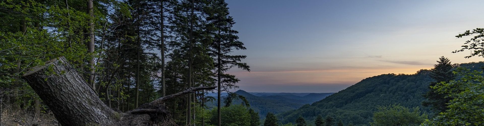 forest, sunset, landscape, nature, mountains, trees, heaven, hike, sunrise, scenic, dusk, forest, forest, forest, forest, forest, heaven, heaven, sunrise