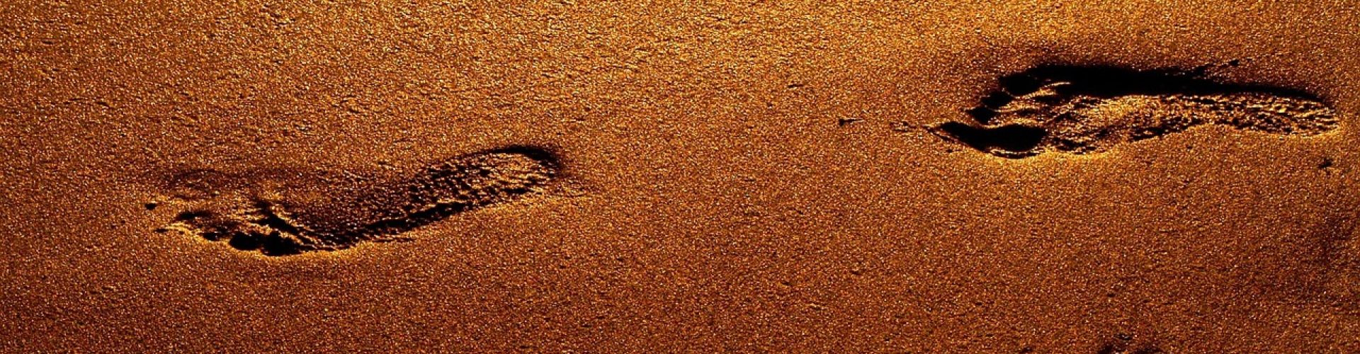 footprints, gold, step, footprints, footprints, footprints, gold, step, step, step, step, step