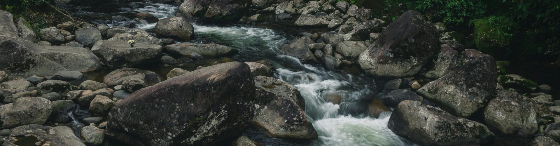 Peaceful river stream flowing over large boulders in a lush green forest setting.
